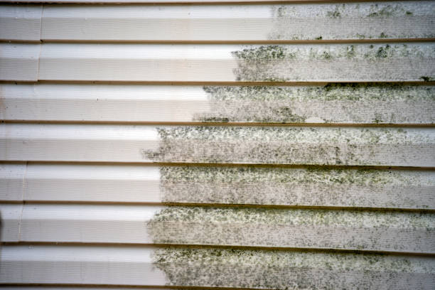 Best Yard Waste Removal  in Placentia, CA